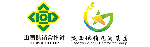 ​陕西供销易购电子商务有限公司